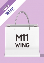 M11 Wing